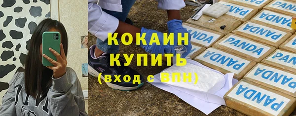 дживик Алзамай