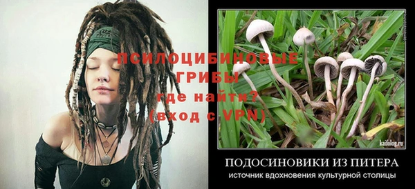дживик Алзамай