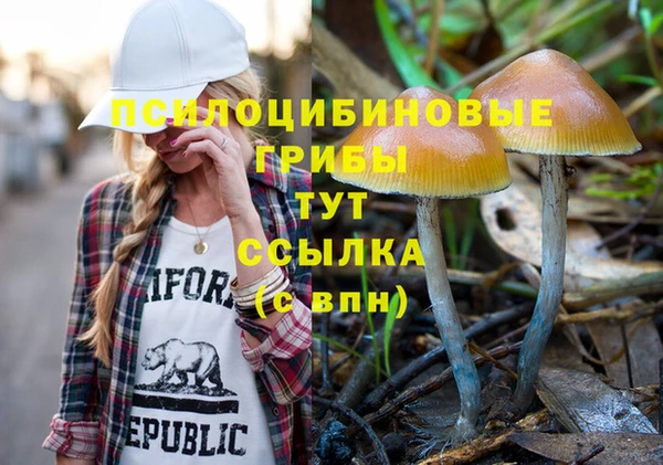 мяу мяу мука Алексин